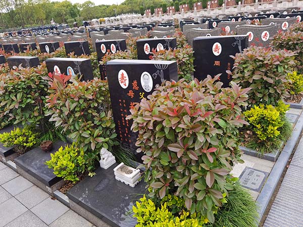 上海公墓太仓墓地双凤纪念园福寿区艺术墓-T098