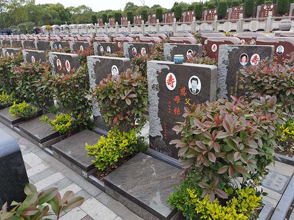 上海墓地太仓公墓双凤纪念园福寿区艺术墓-T099