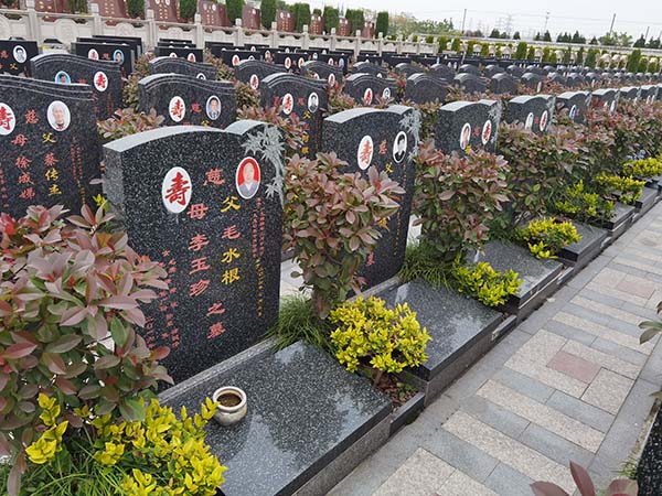 上海公墓太仓墓地双凤纪念园福寿区艺术墓-T0102