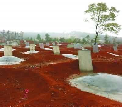 城乡殡葬改革实行双轨制