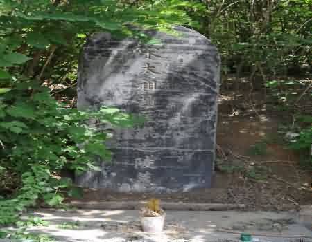 392.jpg